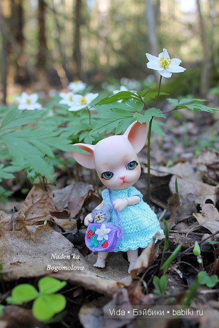 Кошки-мышки, Pang Ju — Куклы Ai Doll и Pangju (Панджу): Tiny BJD (БЖД)