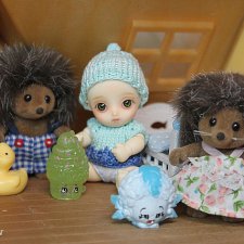 В гостях у ёжиков (Миу - Hujoo Baby Suve, Микки - Brownie little comfort)