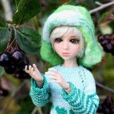 Яркие ягоды рябины. Миленка от Studio Milim