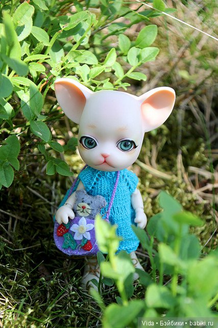 Марси ищет ягодки (Pang Ju)