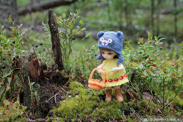 Миу собирает грибочки (Hujoo Baby) (фото 7)