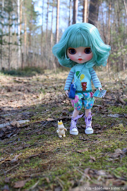 Мишель в Финляндии. TBL — Куклы Blythe TBL (ТБЛ) и аналоги: Блюх