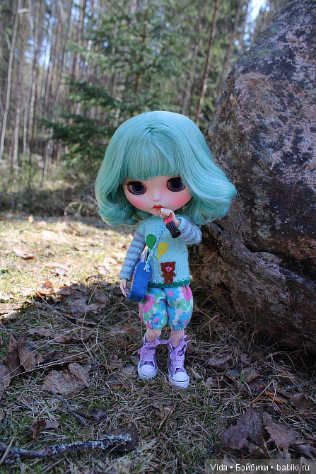 Мишель в Финляндии. TBL — Куклы Blythe TBL (ТБЛ) и аналоги: Блюх