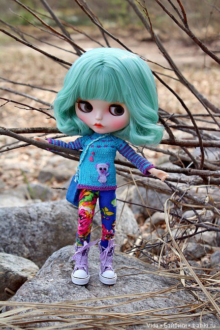 Мишель в Финляндии. TBL — Куклы Blythe TBL (ТБЛ) и аналоги: Блюх