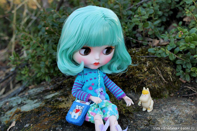 Мишель в Финляндии. TBL — Куклы Blythe TBL (ТБЛ) и аналоги: Блюх