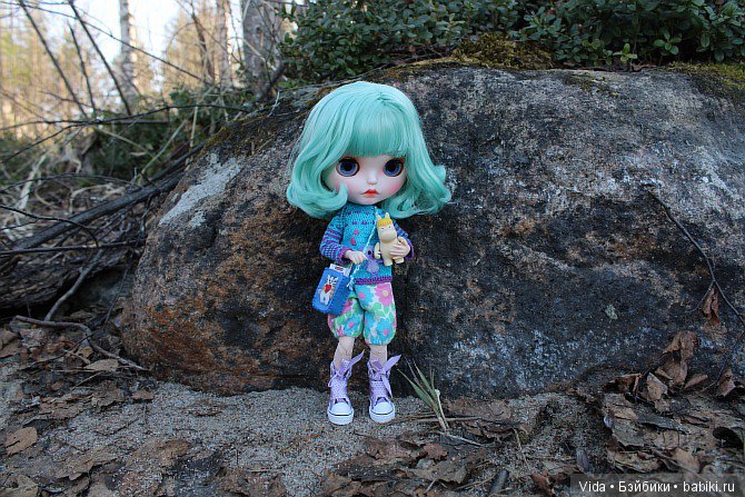Мишель в Финляндии. TBL — Куклы Blythe TBL (ТБЛ) и аналоги: Блюх