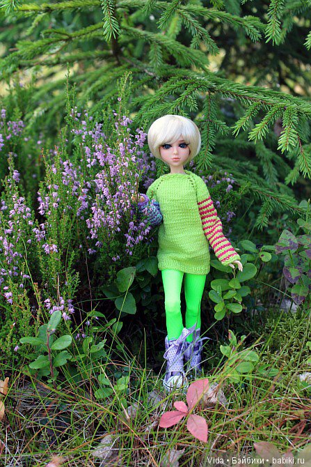 Вереск и брусника. Миленка от Studio Milim (фото 7)