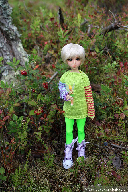 Вереск и брусника. Миленка от Studio Milim (фото 2)