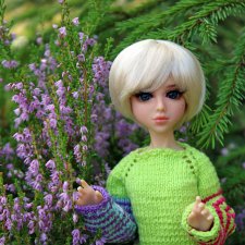 Вереск и брусника. Миленка от Studio Milim