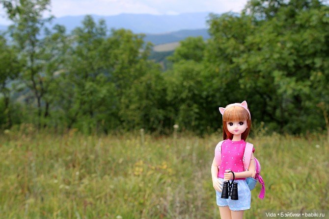 Отпуск для малышки Ликки — Куклы Takara Tomy (Такара): Licca (Ликка)