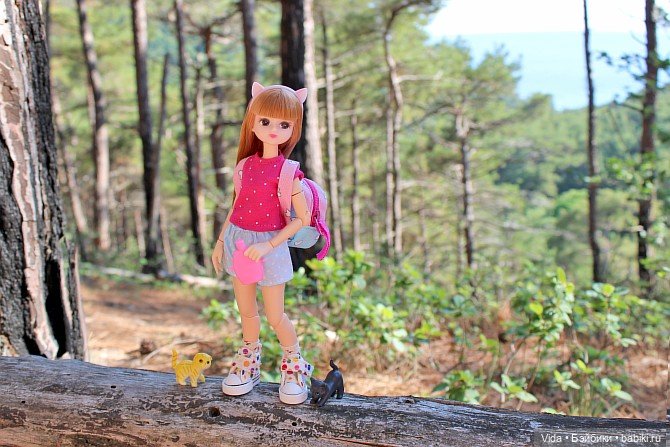 Отпуск для малышки Ликки — Куклы Takara Tomy (Такара): Licca (Ликка) (фото 5)