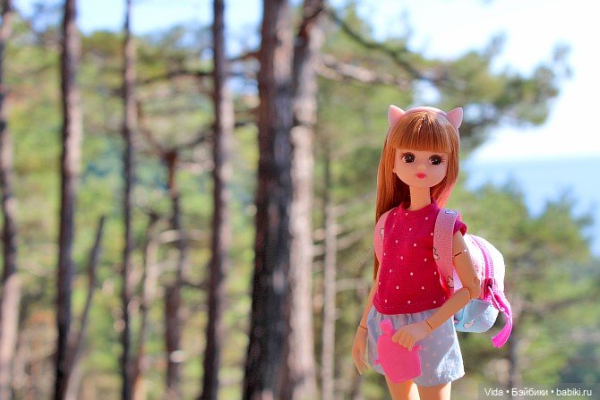 Отпуск для малышки Ликки — Куклы Takara Tomy (Такара): Licca (Ликка) (фото 6)