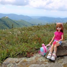 Отпуск для малышки Ликки