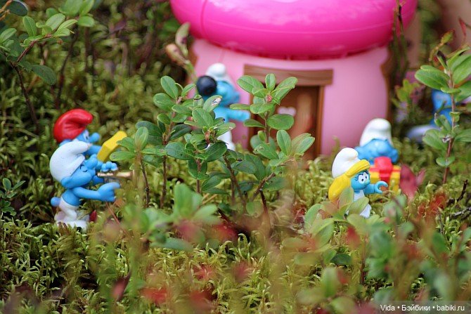 В гостях у Смурфиков — Куклы Takara Tomy (Такара): Licca (Ликка)