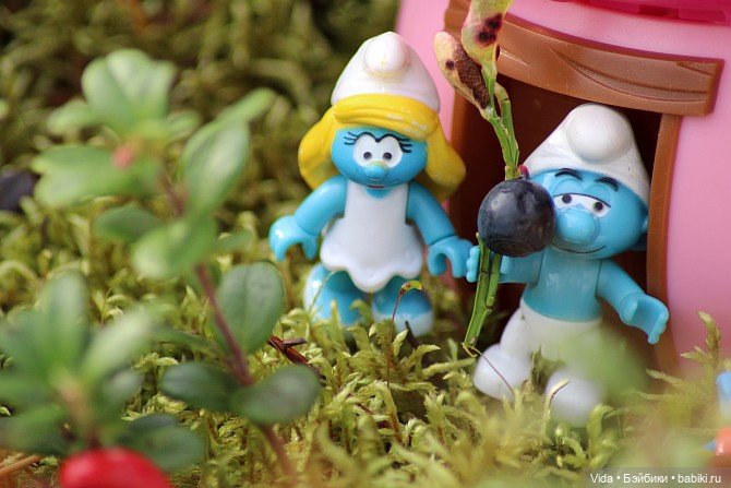 В гостях у Смурфиков — Куклы Takara Tomy (Такара): Licca (Ликка) (фото 3)