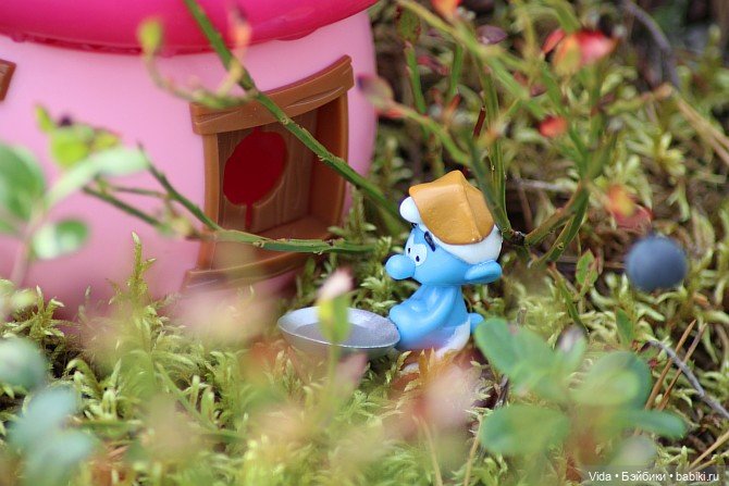 В гостях у Смурфиков — Куклы Takara Tomy (Такара): Licca (Ликка) (фото 4)