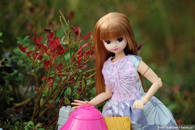 В гостях у Смурфиков — Куклы Takara Tomy (Такара): Licca (Ликка)