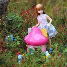 В гостях у Смурфиков