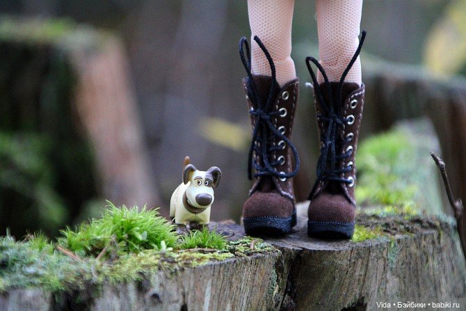 Ликка и белочки — Куклы Takara Tomy (Такара): Licca (Ликка) (фото 8)