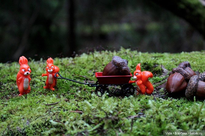 Ликка и белочки — Куклы Takara Tomy (Такара): Licca (Ликка) (фото 10)