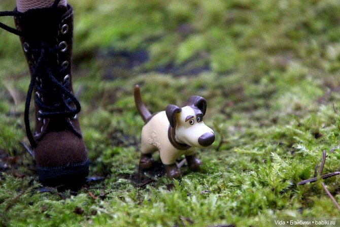 Ликка и белочки — Куклы Takara Tomy (Такара): Licca (Ликка) (фото 3)