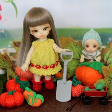 Урожай тыквочек