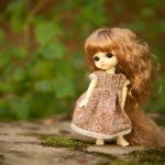 Здравствуйте! Я шью одежду для кукол бжд размером 1/4 и 1/8. А так же мишек тедди. Еще создаю самих мишек тедди =))