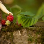 Расскажу немного про прогулку моей Марьяны  =)