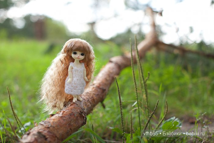 Марьяна смельчак | Бэйбики Марьяна смельчак — Куклы Latidoll (Лати): BJD (БЖД)