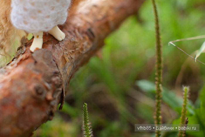 Марьяна смельчак | Бэйбики Марьяна смельчак — Куклы Latidoll (Лати): BJD (БЖД) (фото 2)