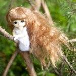 Марьяна смельчак