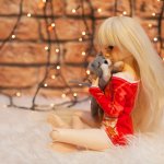 Кот в гостях