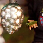 Прогулки по ёлке