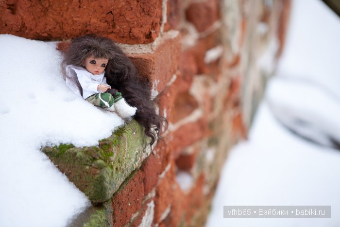 Новое путешествие Ванильки (фото 9)