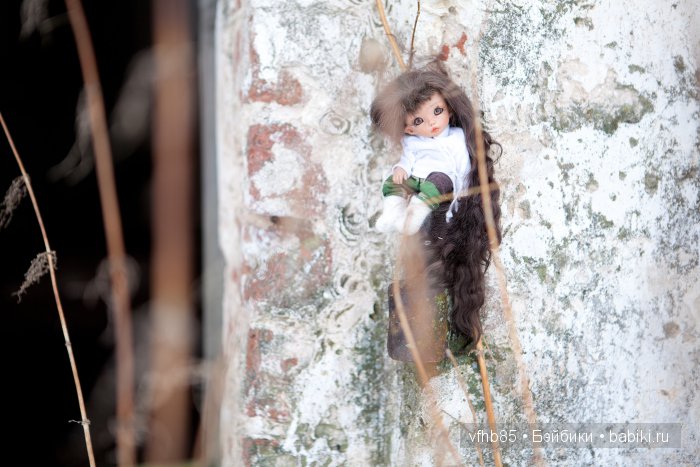 Новое путешествие Ванильки