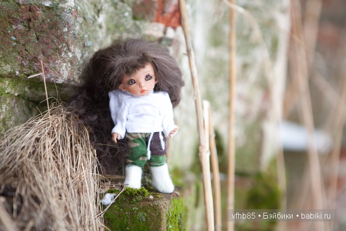 Новое путешествие Ванильки