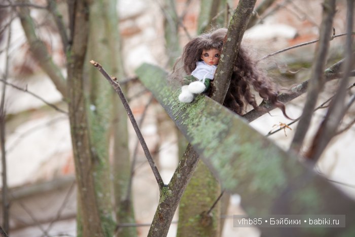 Новое путешествие Ванильки