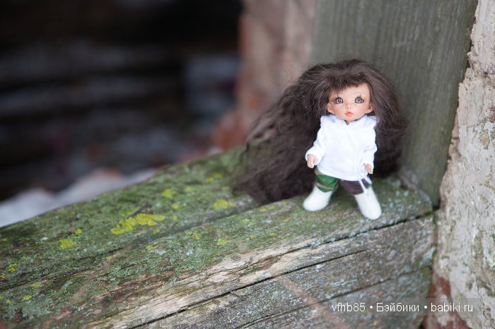 Новое путешествие Ванильки