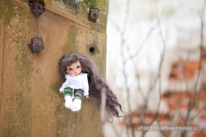 Новое путешествие Ванильки (фото 4)