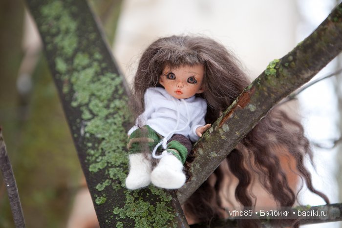 Новое путешествие Ванильки