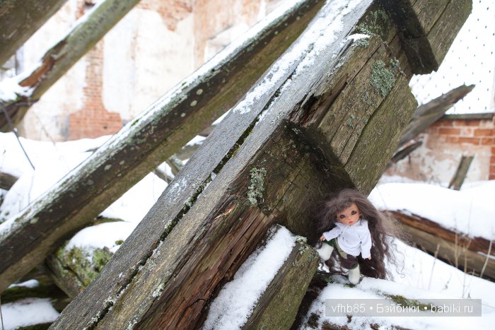 Новое путешествие Ванильки, продолжение | Бэйбики Новое путешествие Ванильки, продолжение (фото 10)