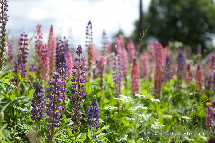 Вторая поездка с Ирис — Куклы Fairyland (ФэйриЛэнд): BJD (БЖД)