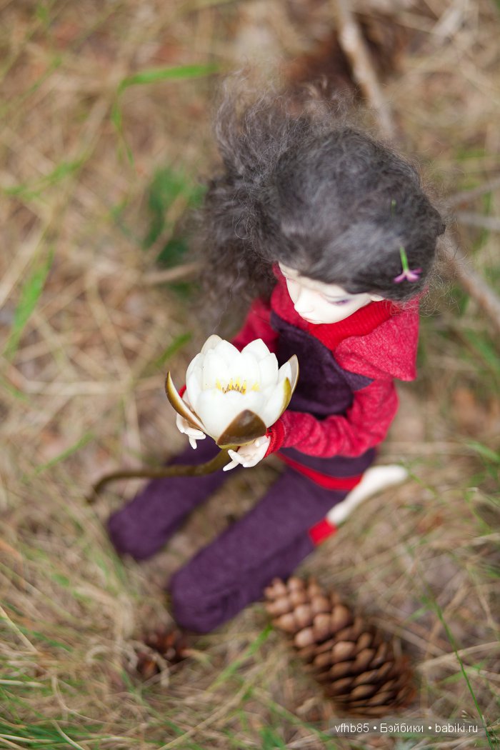 В сосновом лесу — Гибридизация кукол BJD (БЖД): пересадка головы