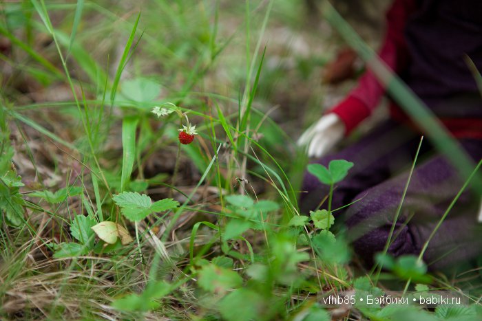 На природе — Гибридизация кукол BJD (БЖД): пересадка головы (фото 2)