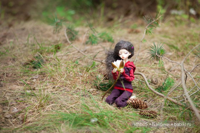 В сосновом лесу — Гибридизация кукол BJD (БЖД): пересадка головы