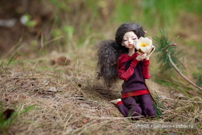 В сосновом лесу — Гибридизация кукол BJD (БЖД): пересадка головы