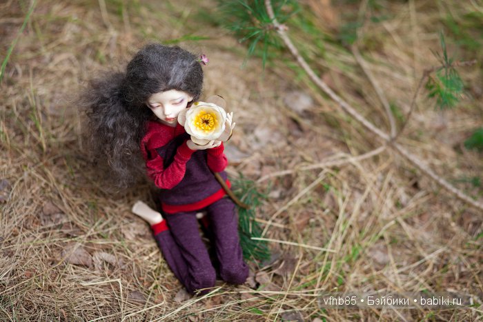 В сосновом лесу — Гибридизация кукол BJD (БЖД): пересадка головы