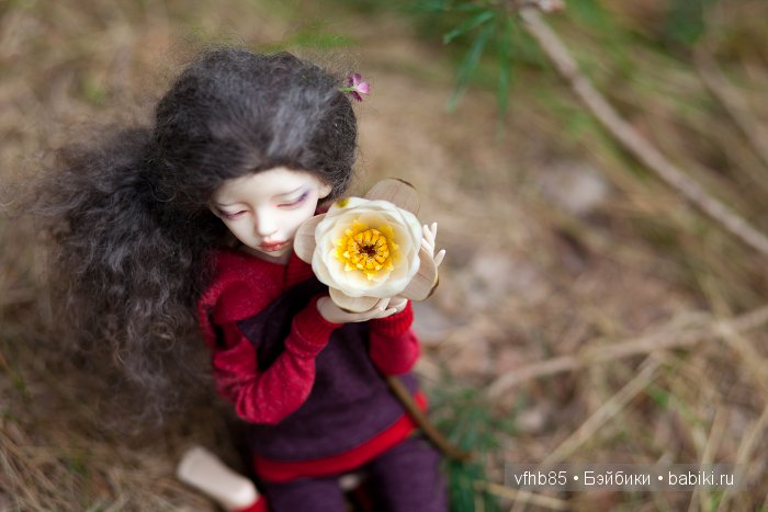 В сосновом лесу — Гибридизация кукол BJD (БЖД): пересадка головы