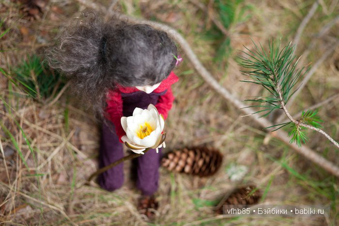 В сосновом лесу — Гибридизация кукол BJD (БЖД): пересадка головы