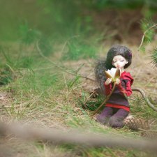 В сосновом лесу